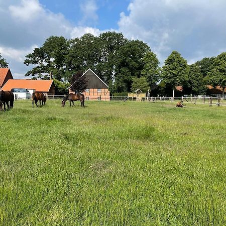 Landhaus Am Esch Warendorf Ngoại thất bức ảnh