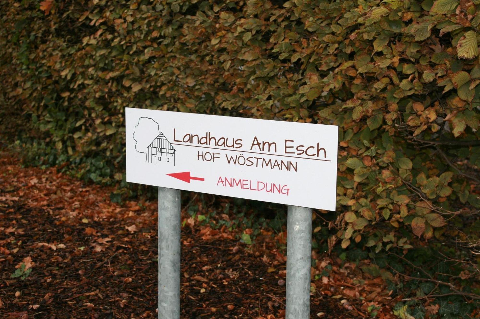 Landhaus Am Esch Warendorf Ngoại thất bức ảnh