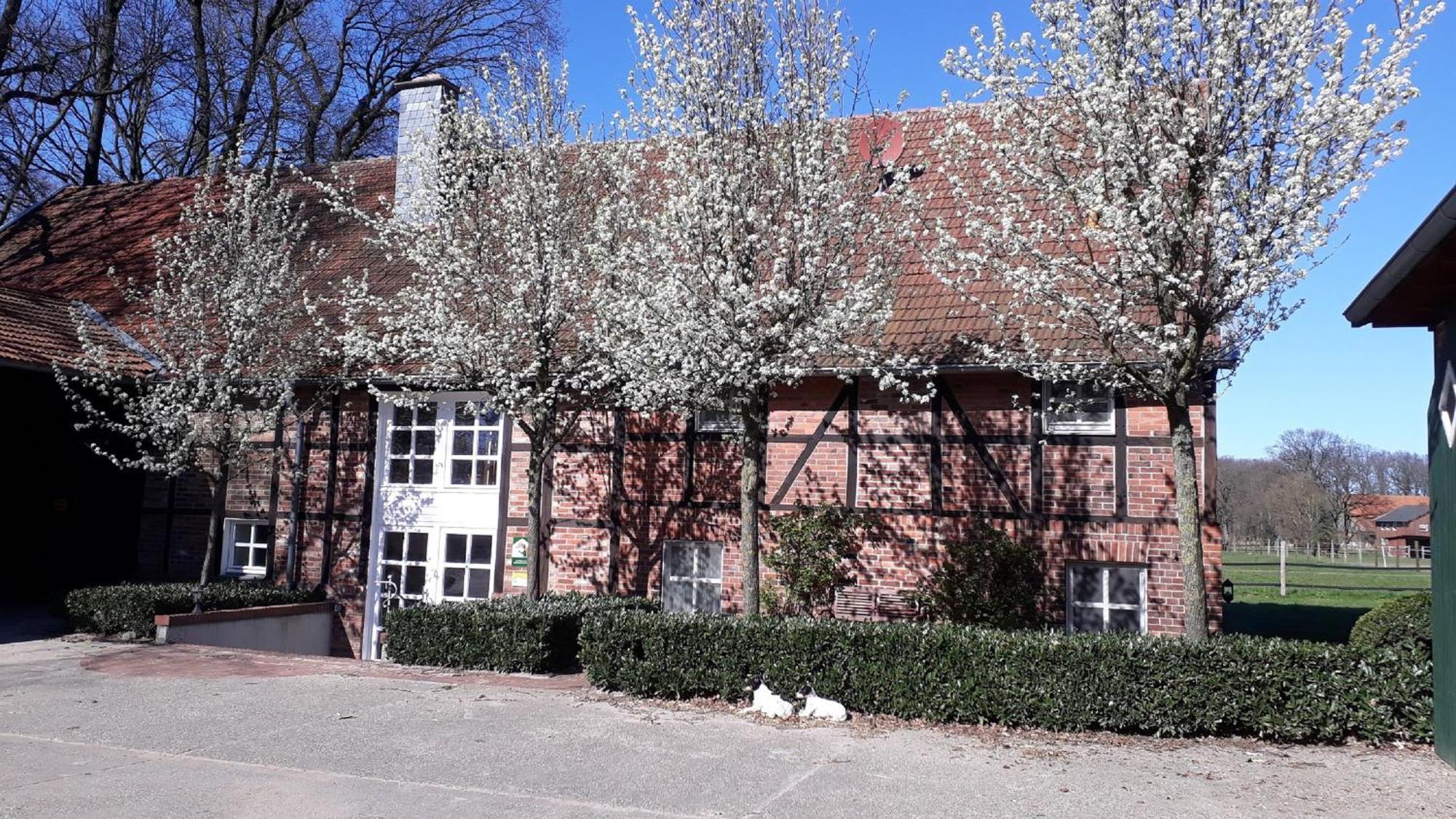 Landhaus Am Esch Warendorf Ngoại thất bức ảnh