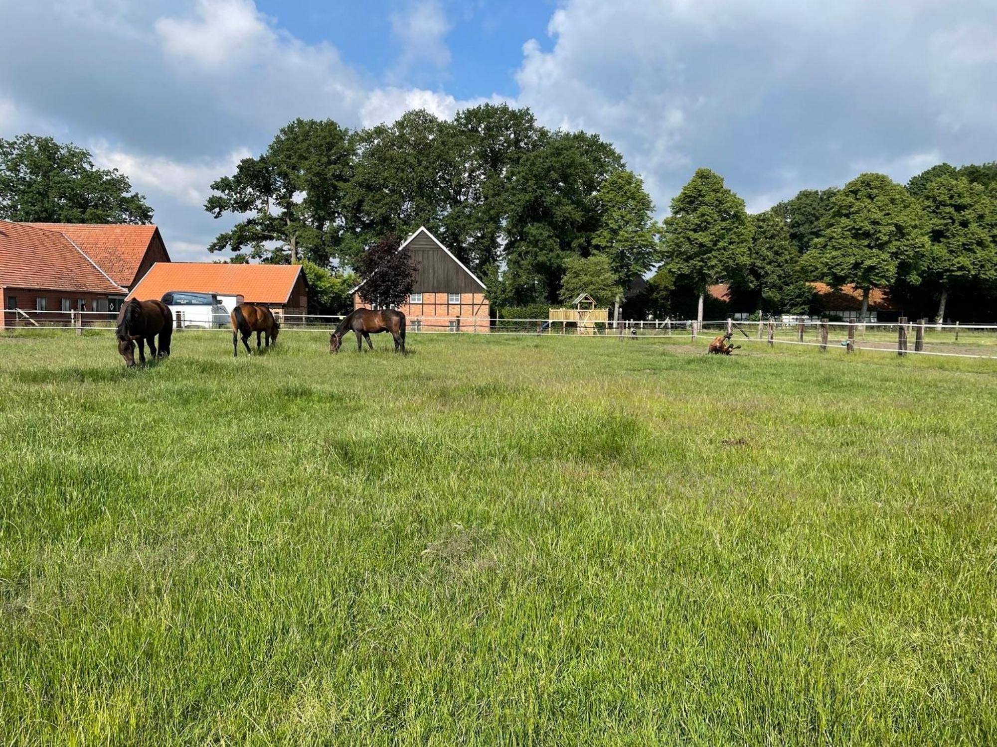 Landhaus Am Esch Warendorf Ngoại thất bức ảnh